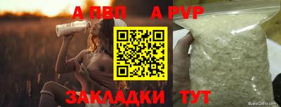 ECSTASY Беслан