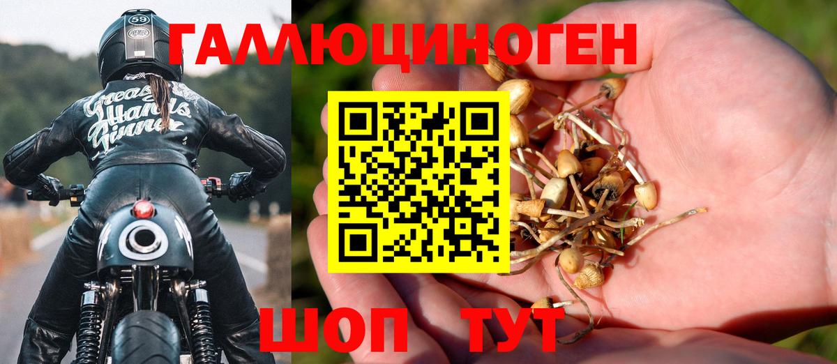 Псилоцибиновые грибы Magic Shrooms Каспийск